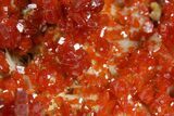 Glittering Ruby Red Vanadinite Crystals on Barite - Morocco #349450-1